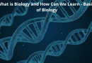 What is Biology and How Can We Learn – Basics of Biology